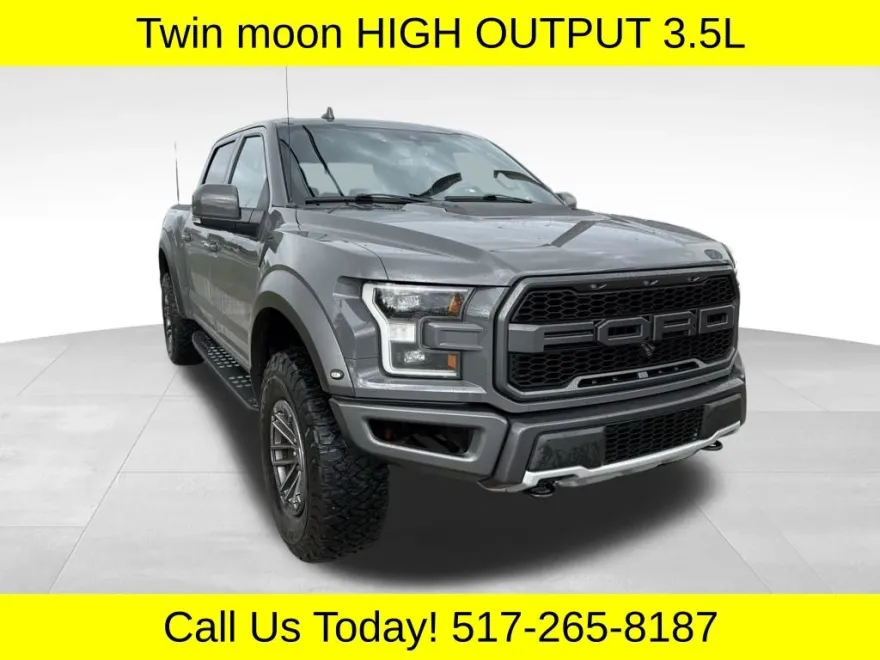 2020 Ford F-150 Raptor photo 1