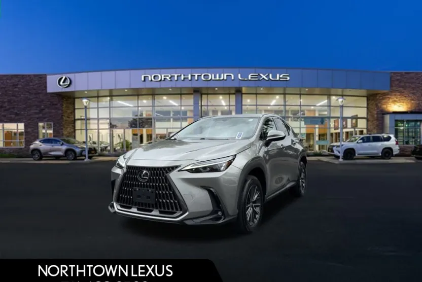 2022 Lexus NX 250 photo 1