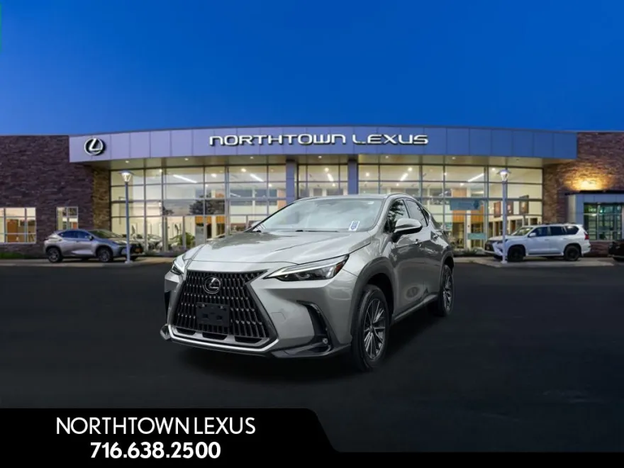 2022 Lexus NX 250 photo 1