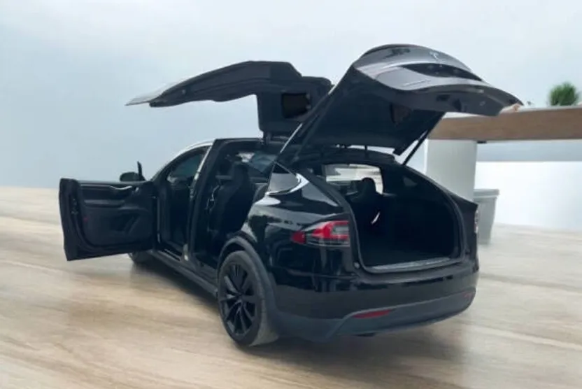 2017 Tesla Model X 100D photo 1