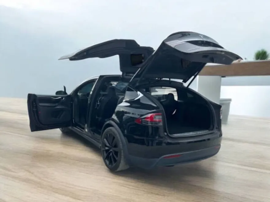 2017 Tesla Model X 100D photo 1