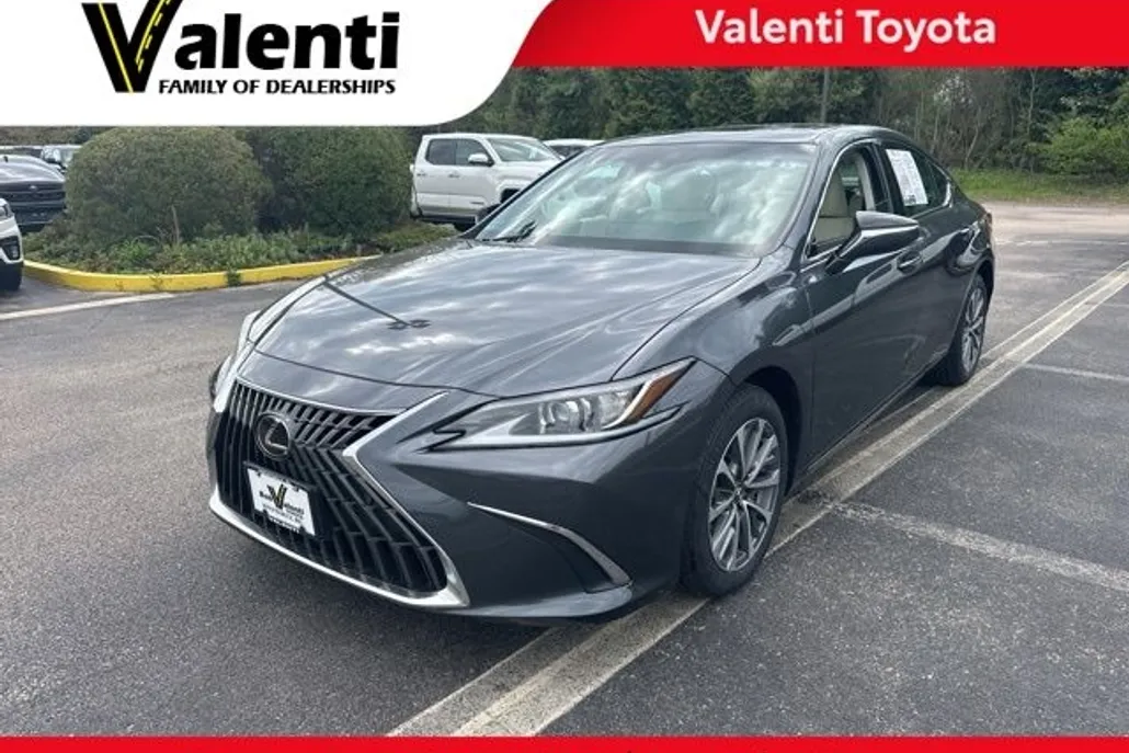2022 Lexus ES 250 Luxury photo 1