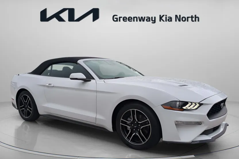 2022 Ford Mustang EcoBoost Premium photo 1