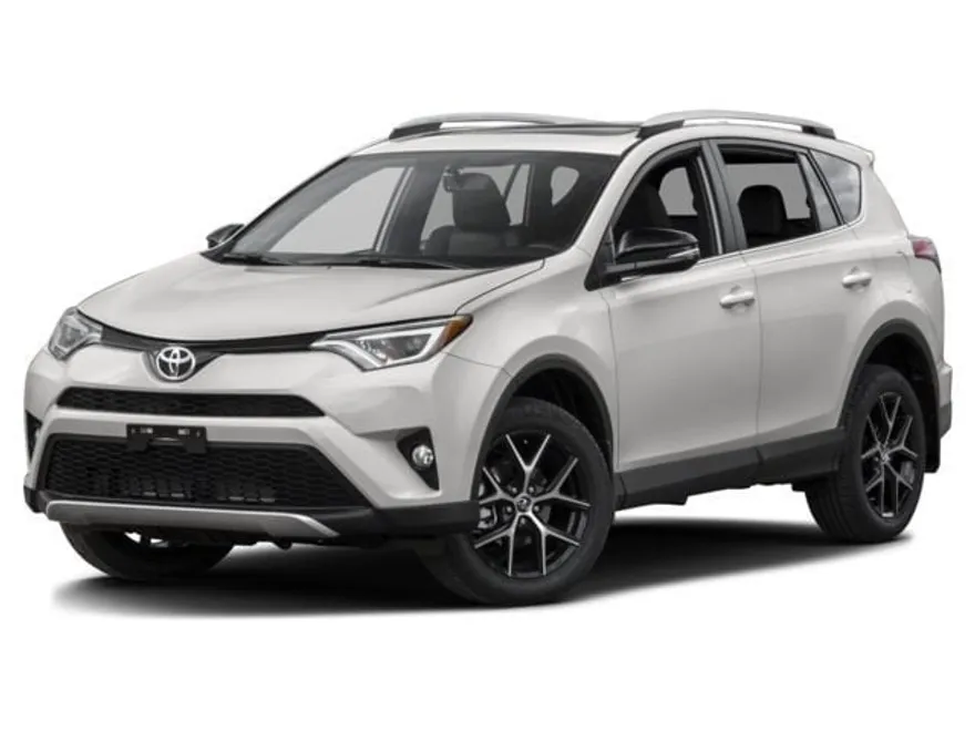 2018 Toyota RAV4 SE photo 1