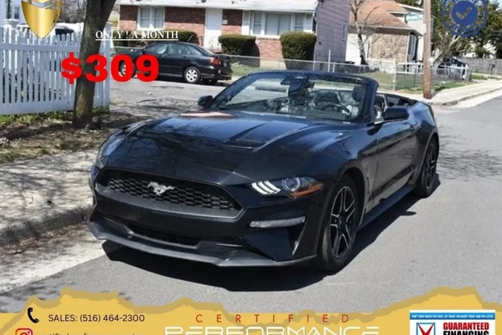 2022 Ford Mustang EcoBoost Premium photo 1