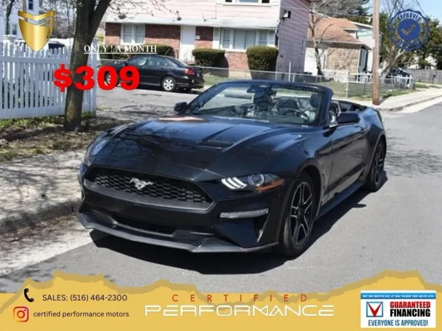 2022 Ford Mustang EcoBoost Premium photo 1