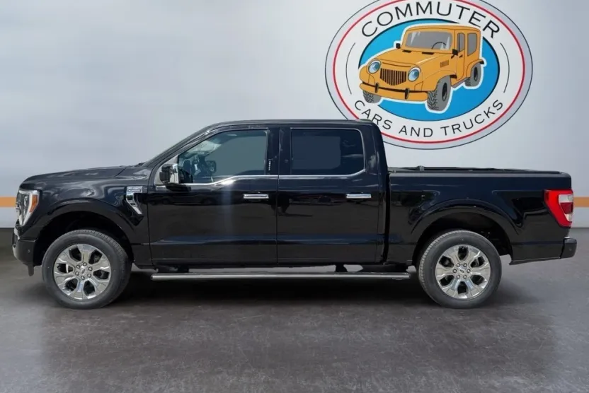 2021 Ford F-150 Platinum photo 1