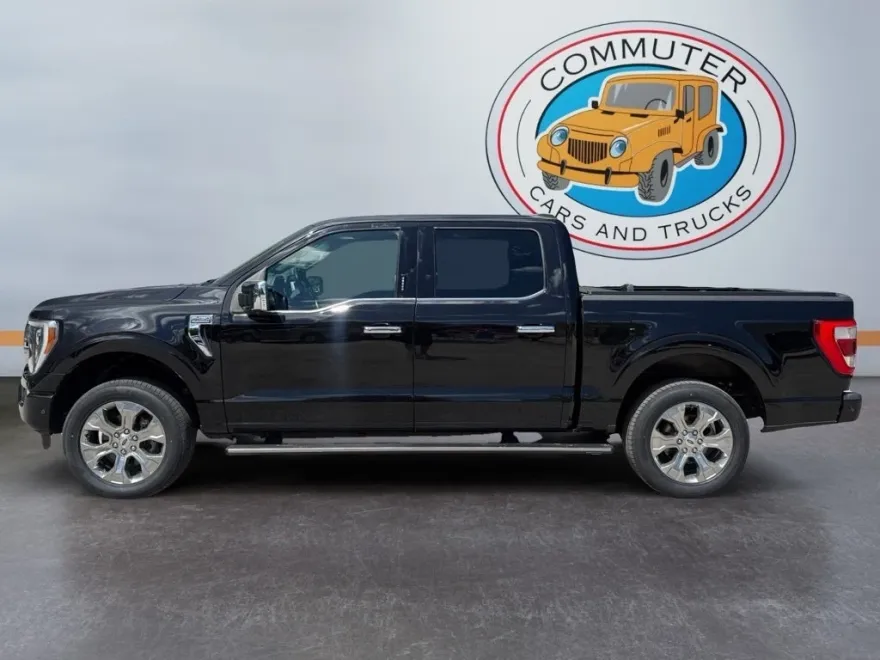 2021 Ford F-150 Platinum photo 1