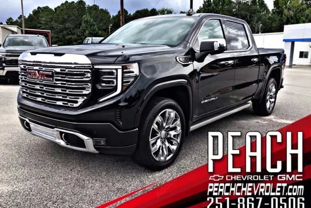 2025 Gmc Sierra 1500 Denali photo 1