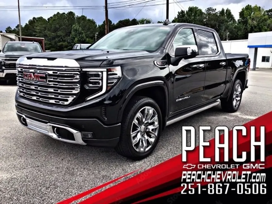 2025 Gmc Sierra 1500 Denali photo 1