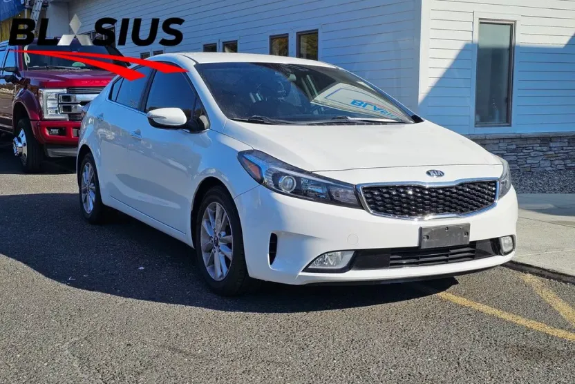 2017 Kia Forte S photo 1