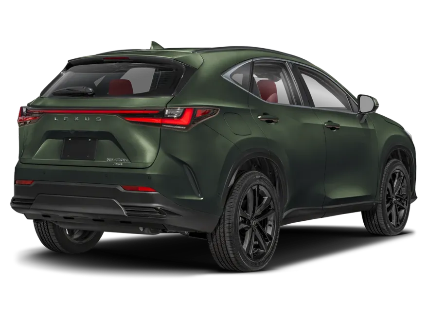 2025 Lexus NX Luxury AWD photo 1