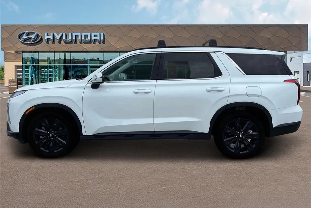 2025 Hyundai Palisade XRT photo 1