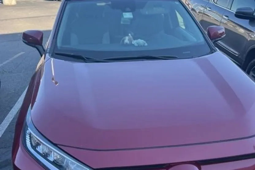 2019 Toyota RAV4 XLE Premium photo 1