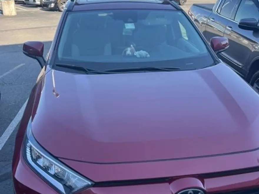 2019 Toyota RAV4 XLE Premium photo 1