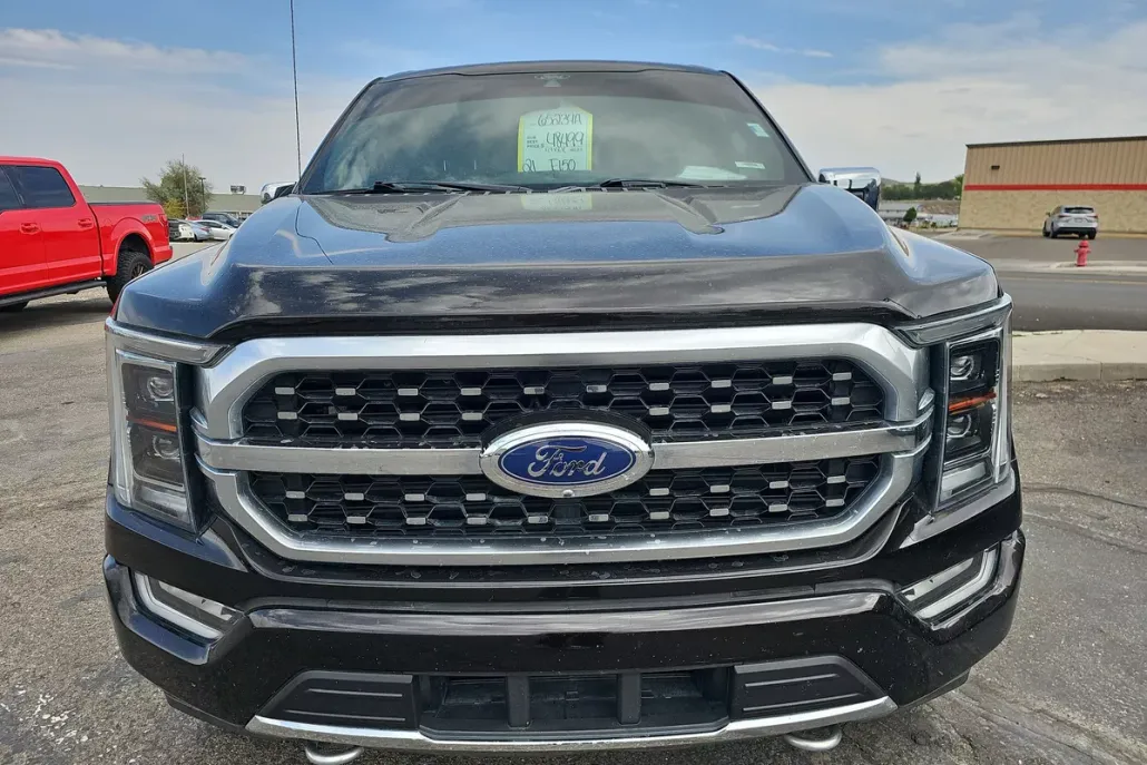 2021 Ford F-150 Platinum photo 1
