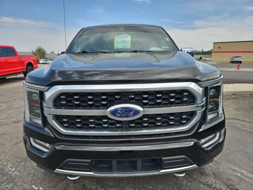 2021 Ford F-150 Platinum photo 1