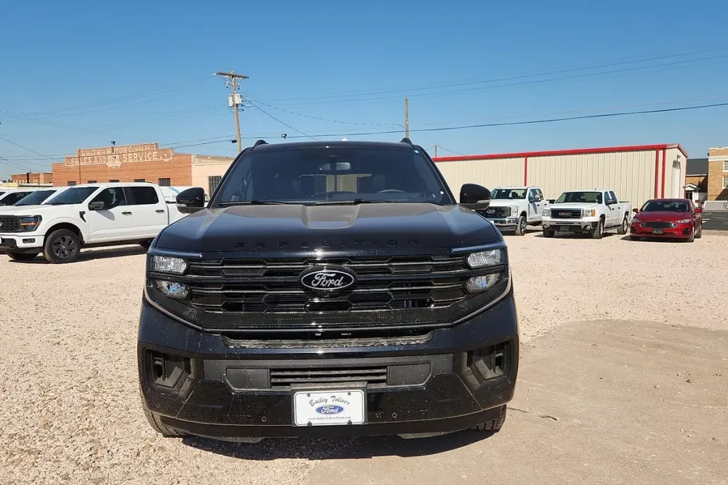 2025 Ford Expedition MAX Platinum photo 1