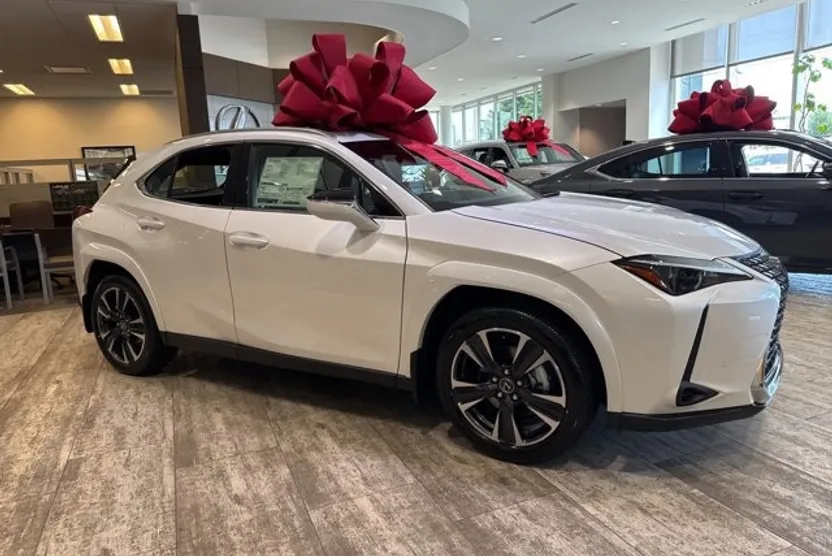 2025 Lexus UX Premium photo 1