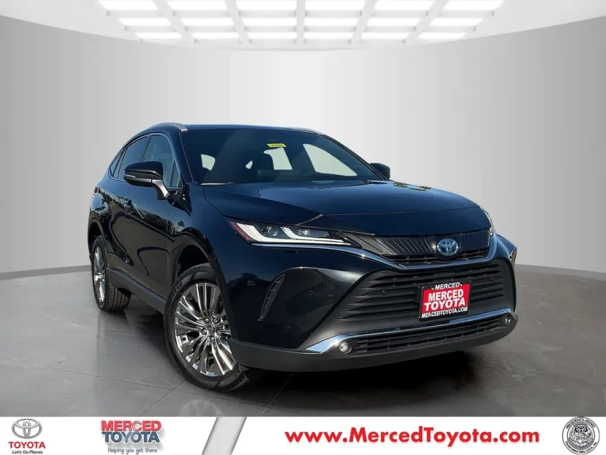 2023 Toyota Venza XLE photo 1