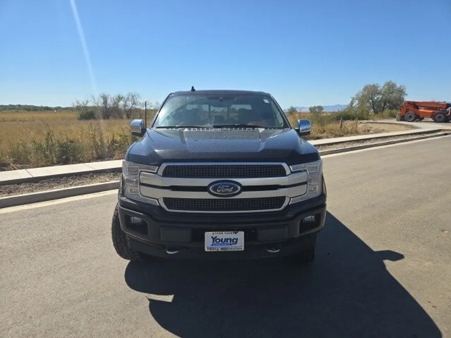 2018 Ford F-150 Platinum photo 1