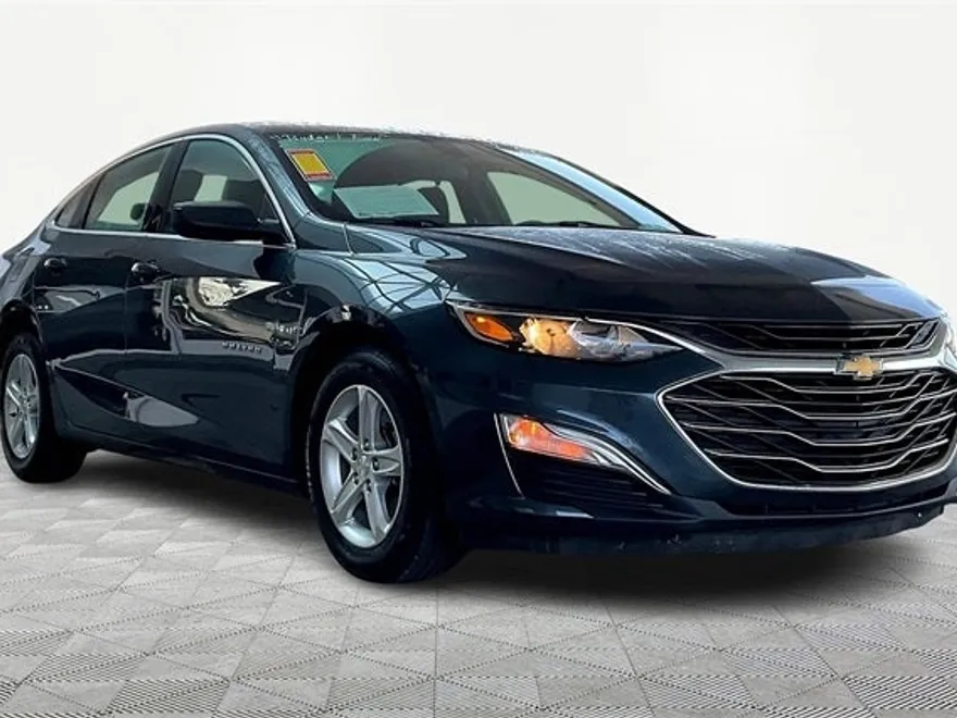 2019 Chevrolet Malibu LS photo 1