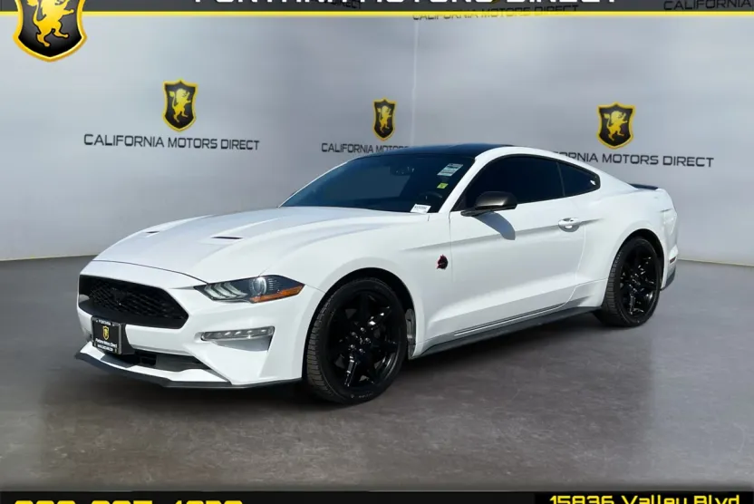 2019 Ford Mustang EcoBoost photo 1