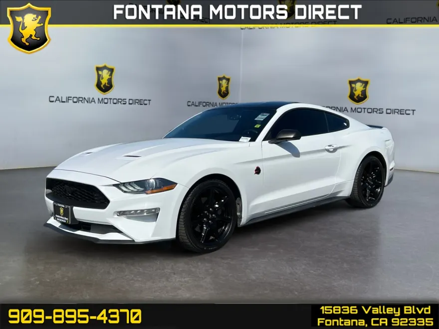 2019 Ford Mustang EcoBoost photo 1