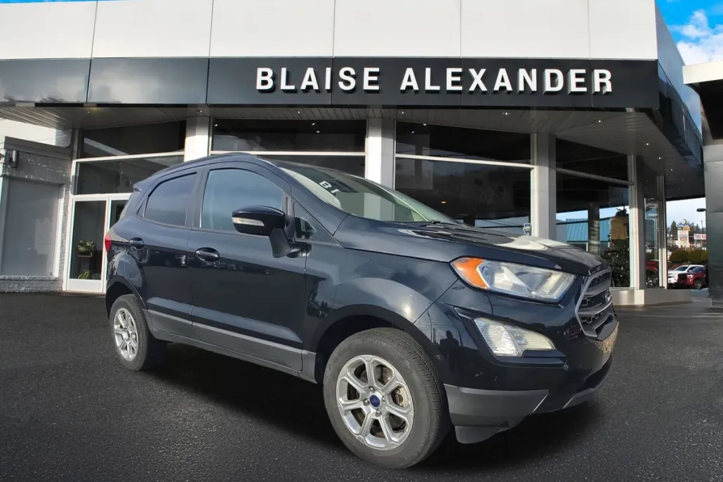 2019 Ford EcoSport SE photo 1