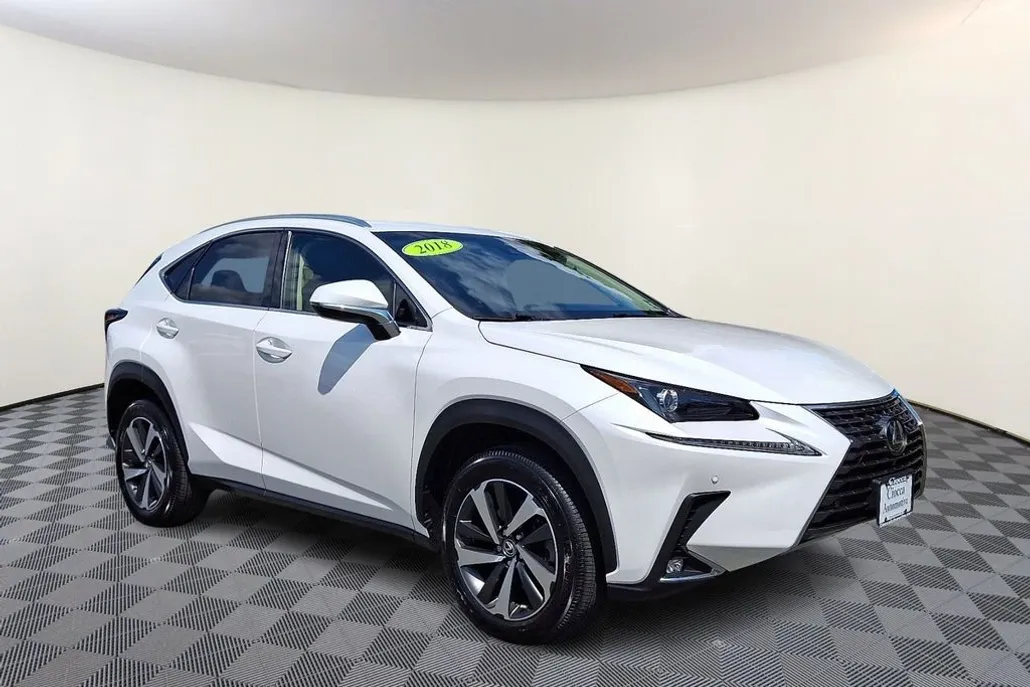 2018 Lexus NX 300 Luxury photo 1