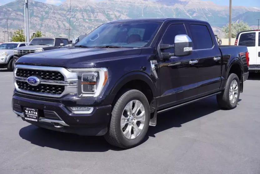 2021 Ford F-150 Platinum FX4 photo 1