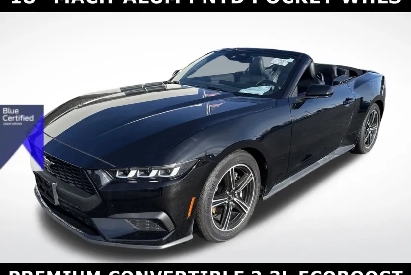 2024 Ford Mustang EcoBoost Premium Convertible photo 1