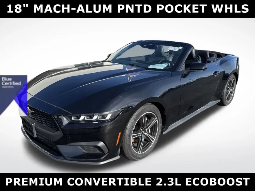 2024 Ford Mustang EcoBoost Premium Convertible photo 1