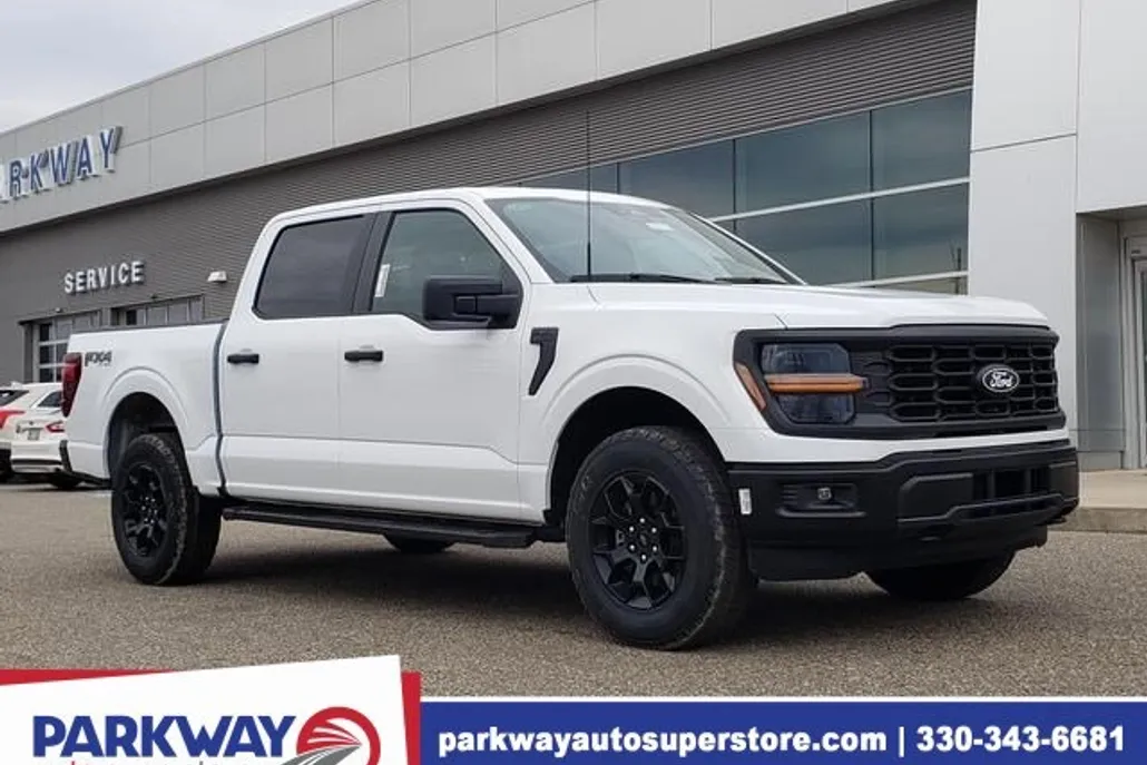 2025 Ford F-150 STX photo 1