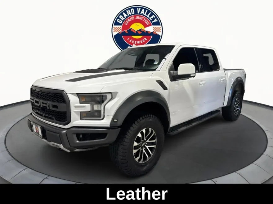 2019 Ford F-150 Raptor photo 1
