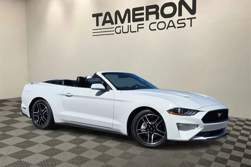 2021 Ford Mustang EcoBoost Premium photo 1