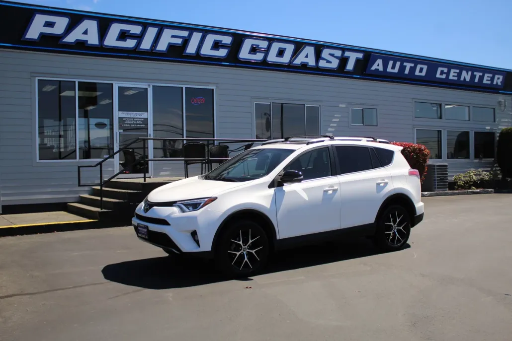 2018 Toyota RAV4 SE photo 1
