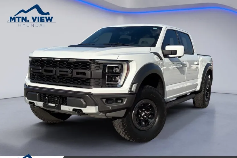 2021 Ford F-150 Raptor photo 1