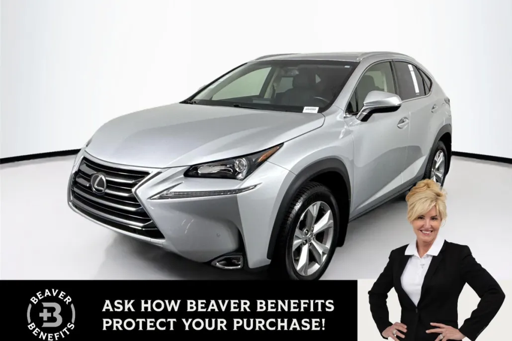 2017 Lexus NX 200t Luxury photo 1