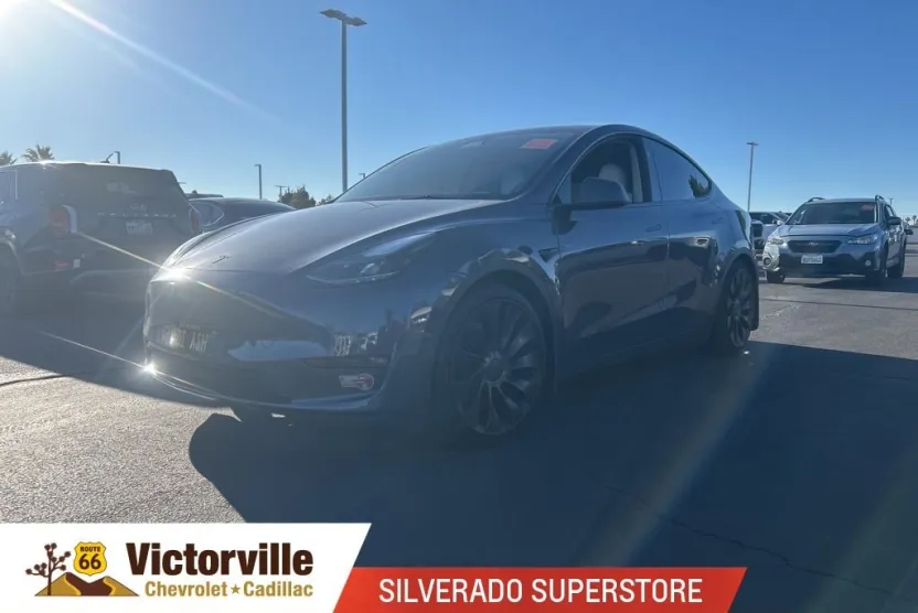 2023 Tesla Model Y Performance photo 1