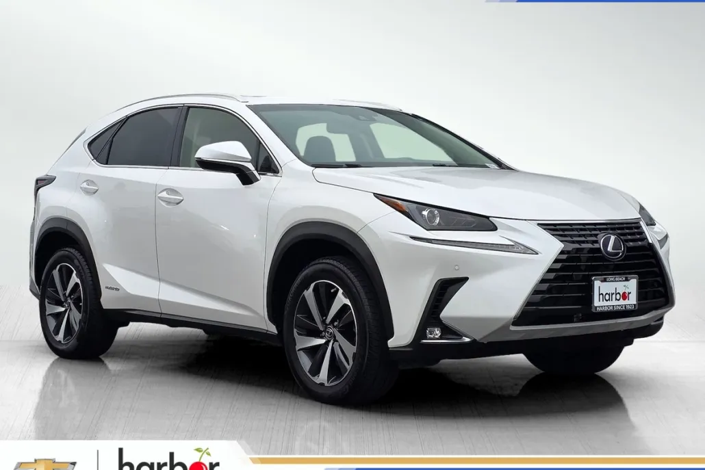 2018 Lexus NX 300h Luxury photo 1
