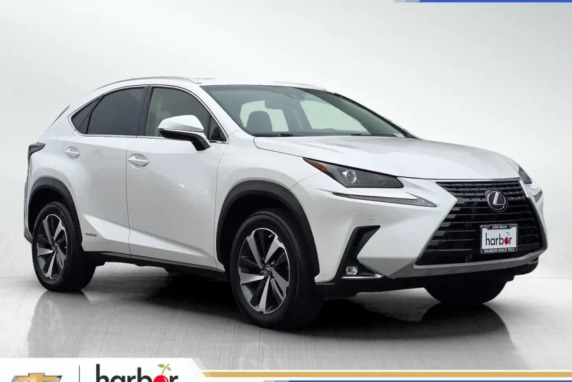 2018 Lexus NX 300h Luxury photo 1