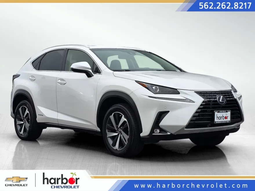 2018 Lexus NX 300h Luxury photo 1