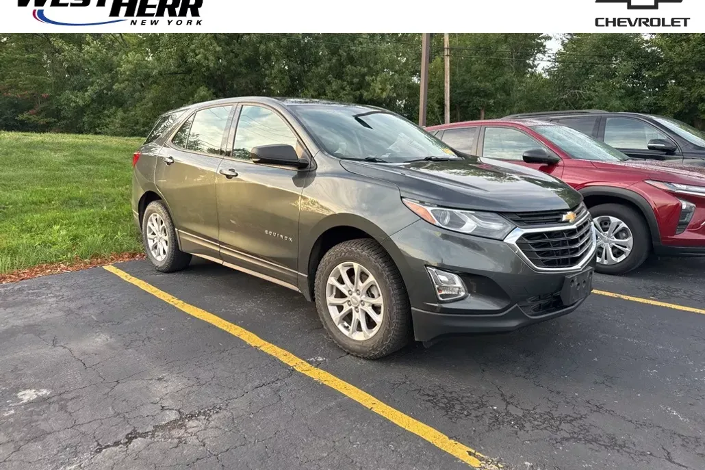 2019 Chevrolet Equinox LS photo 1