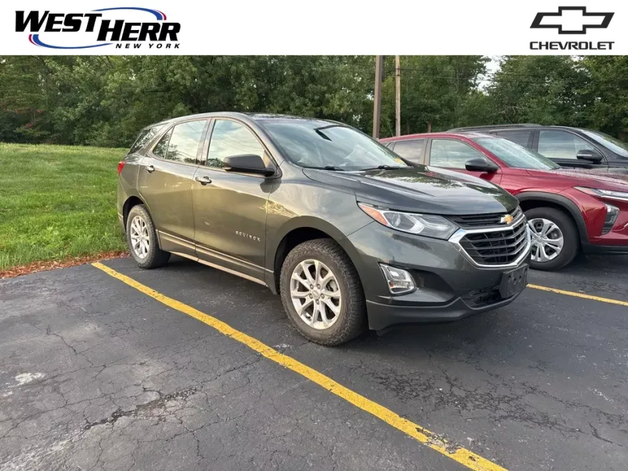 2019 Chevrolet Equinox LS photo 1