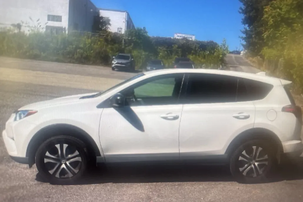 2018 Toyota RAV4 LE photo 1