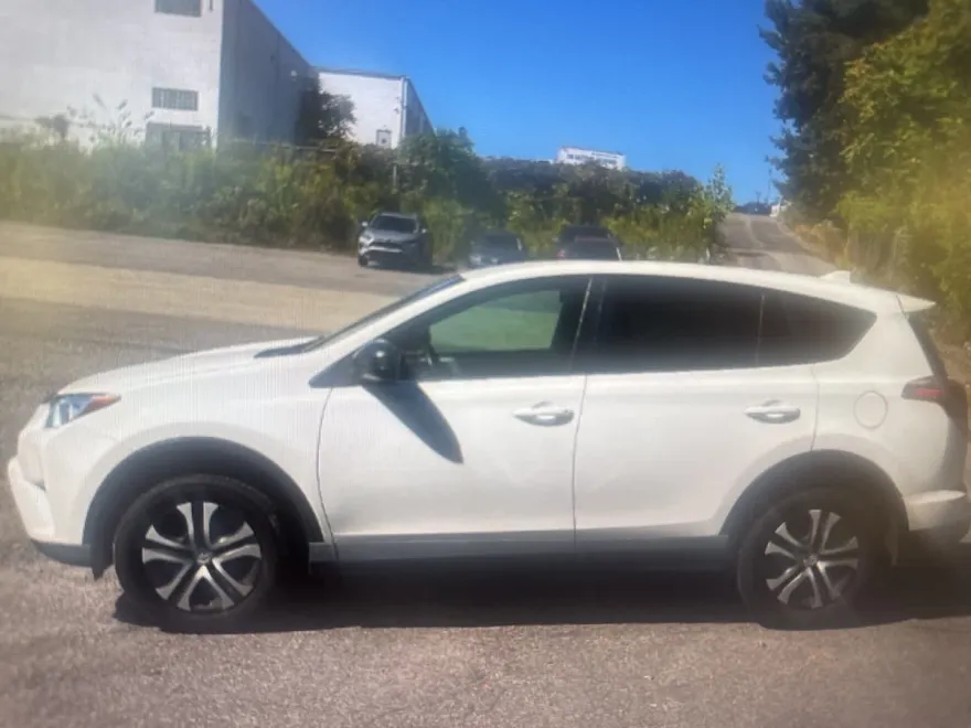 2018 Toyota RAV4 LE photo 1