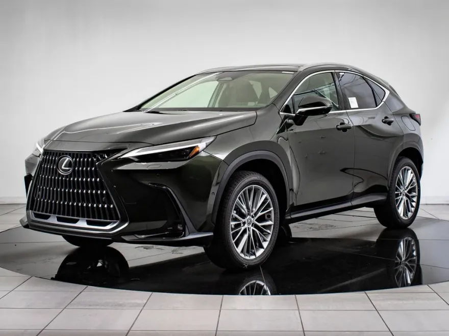 2025 Lexus NX 350 Luxury photo 1