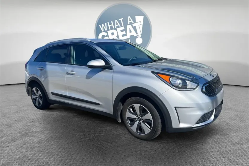 2019 Kia Niro LX photo 1