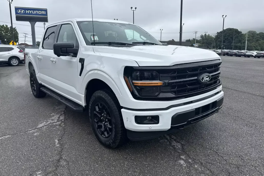 2024 Ford F-150 XLT photo 1